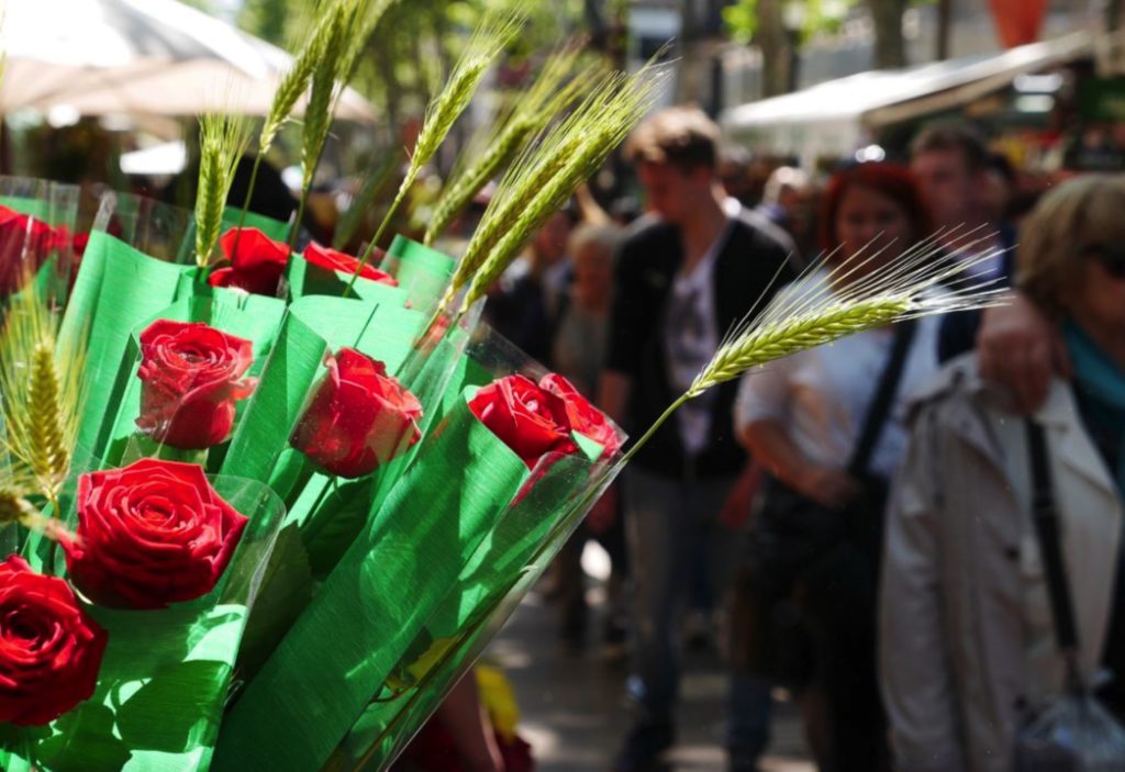 Diada de Sant Jordi PORTADA