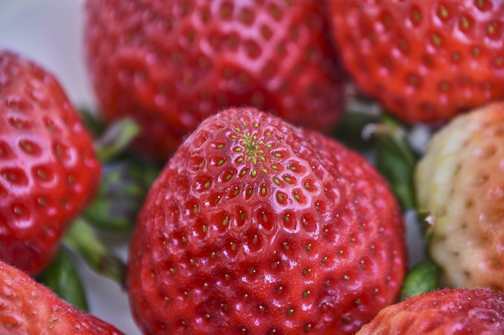 strawberries-4075889_1280